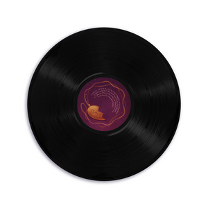 Lost & Found Record It! Album Starter Kit 8″x 9″ – Antique